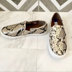 Steve Madden snake skin print sneakers size 8.5